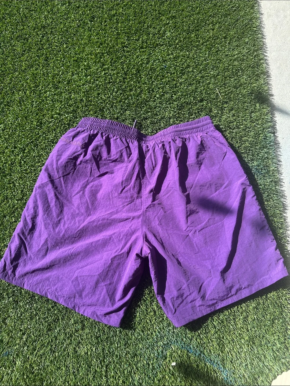 Mitchell & Ness Purple Los Angeles Lakers NBA Champs Shorts